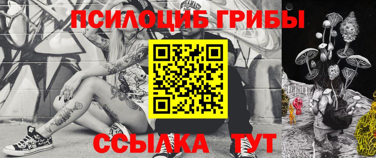 Галлюциногенные грибы мицелий Архангельск